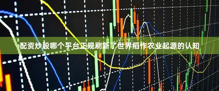 配资炒股哪个平台正规刷新了世界稻作农业起源的认知